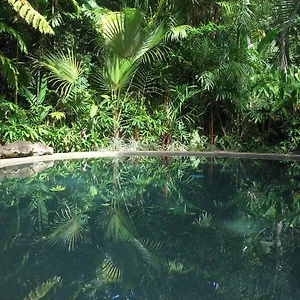  Lodge Rainforest Retreat